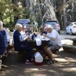 cambria_252 (November 03, 2018)